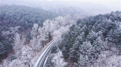爱，需要理由吗？